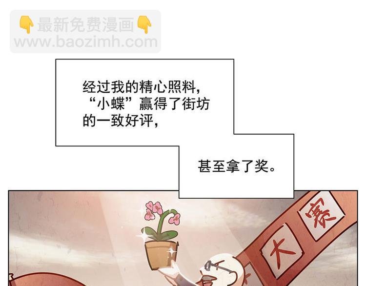 第34花