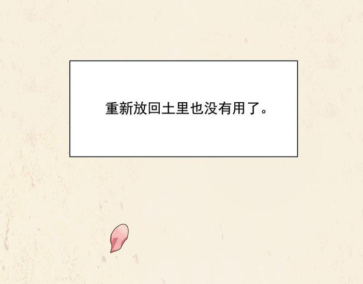 第34花