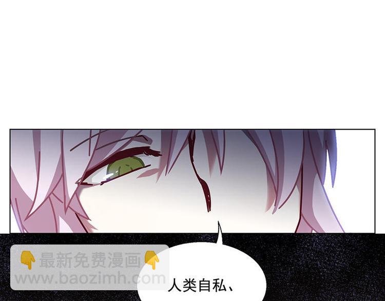 第41花