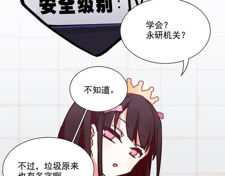 第41花
