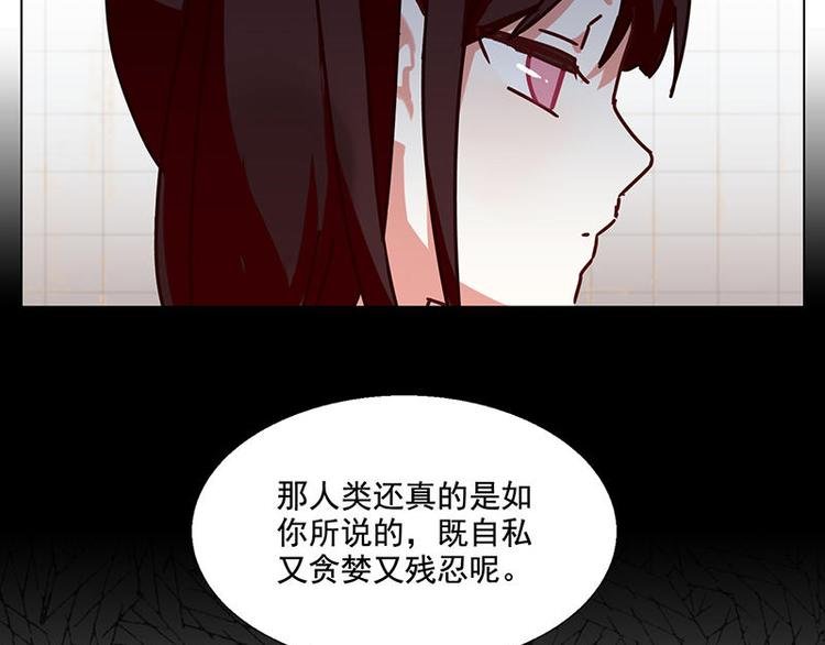 第41花