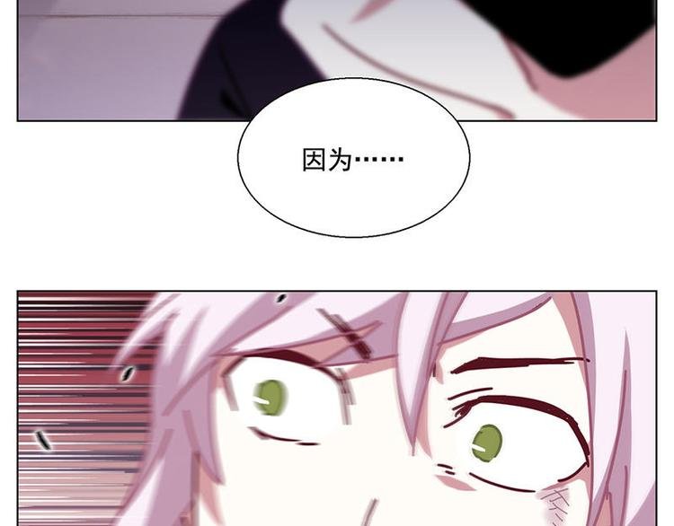 第41花