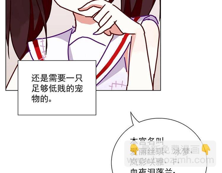 第4花