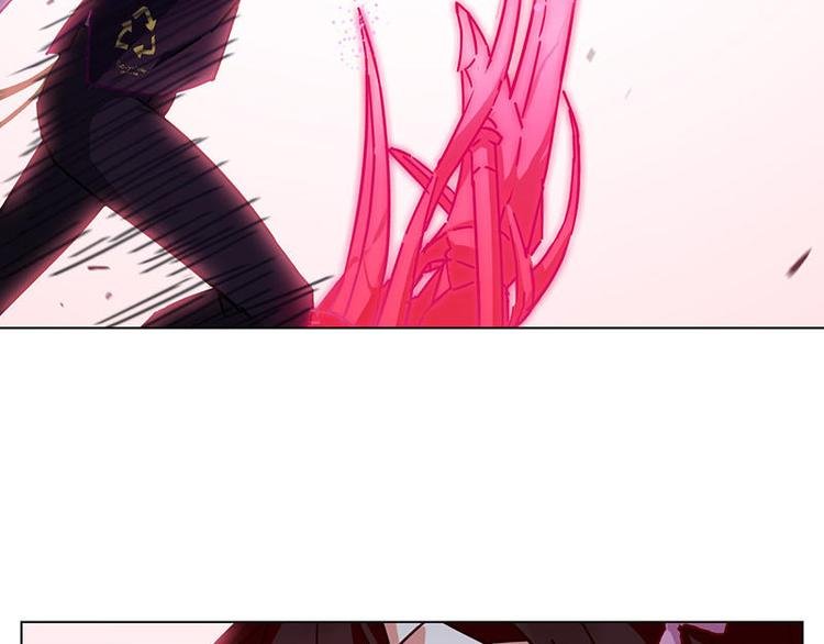 第48花