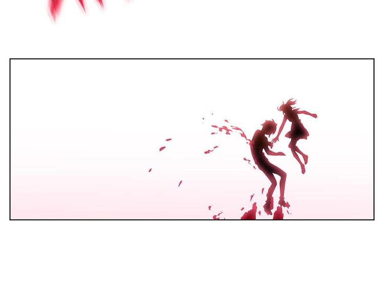 第48花