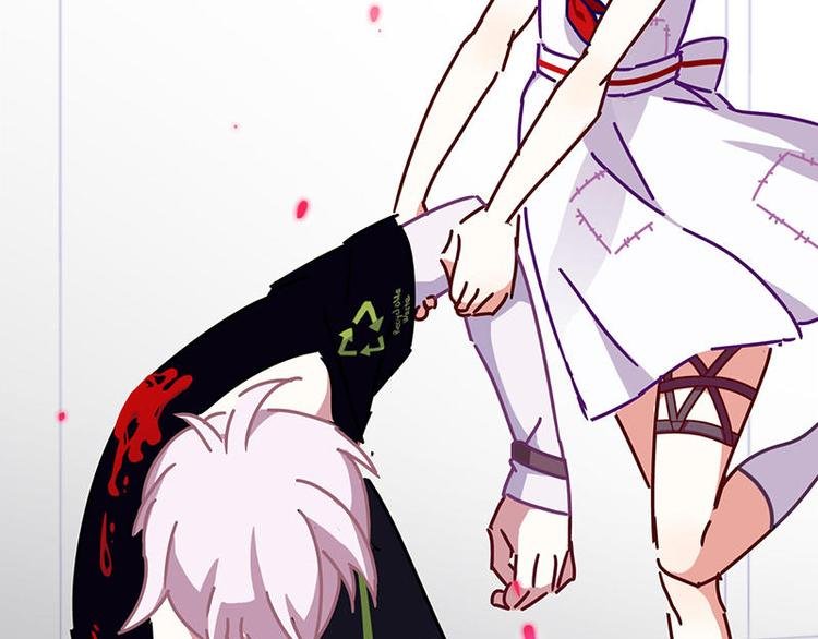 第48花