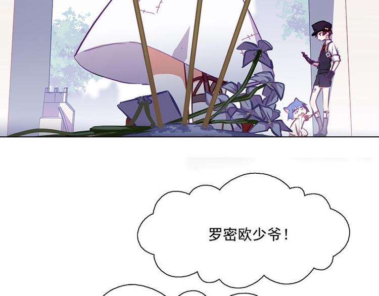 第51花 尊重花