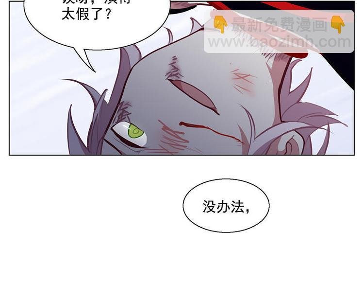 第52花 [哔]照花