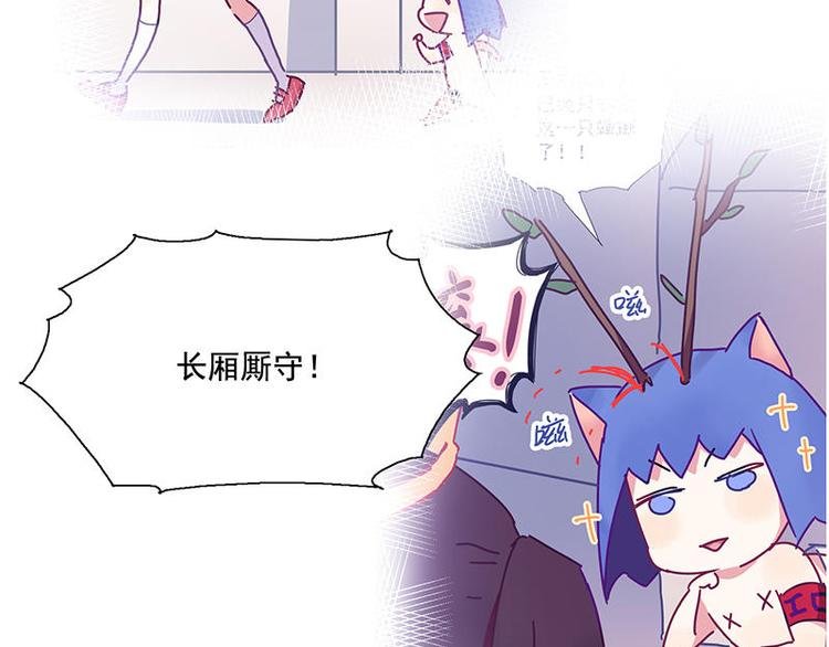 第54花 噢啦噢啦花