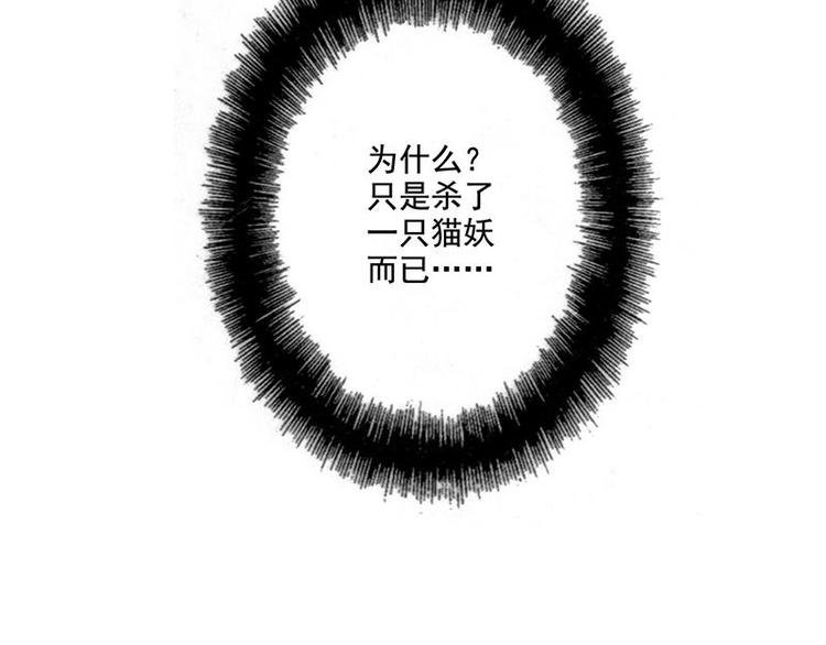 第54花 噢啦噢啦花