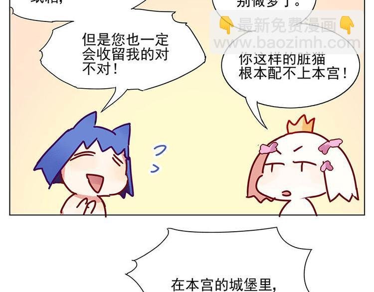 第5花