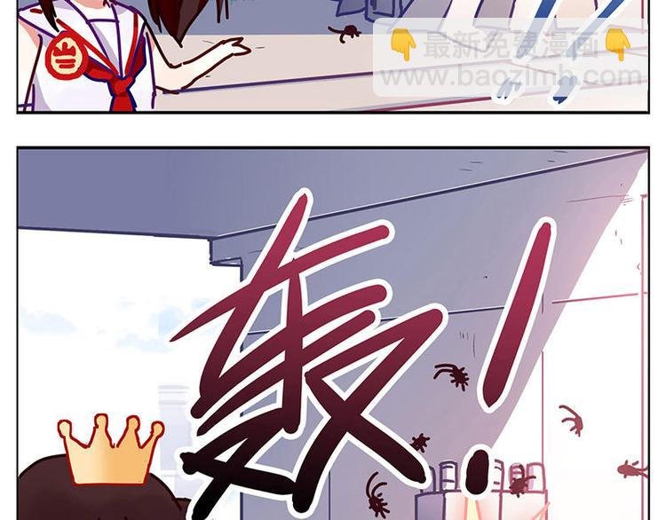 第5花