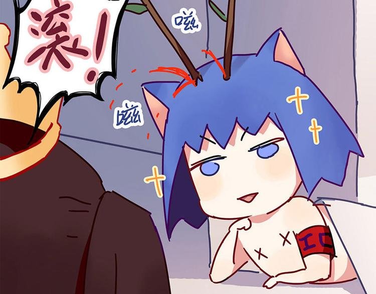第5花