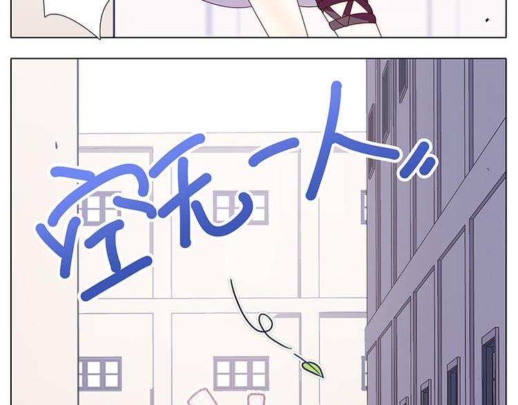 第56花 过渡花