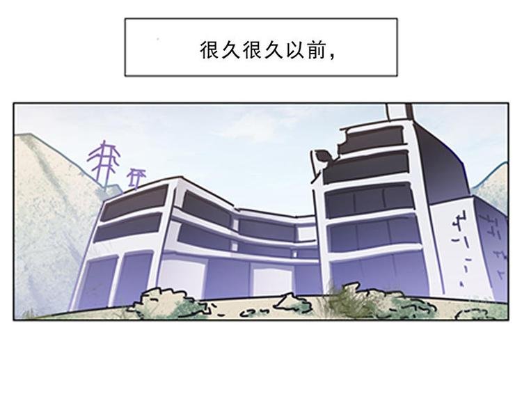 第56花 过渡花