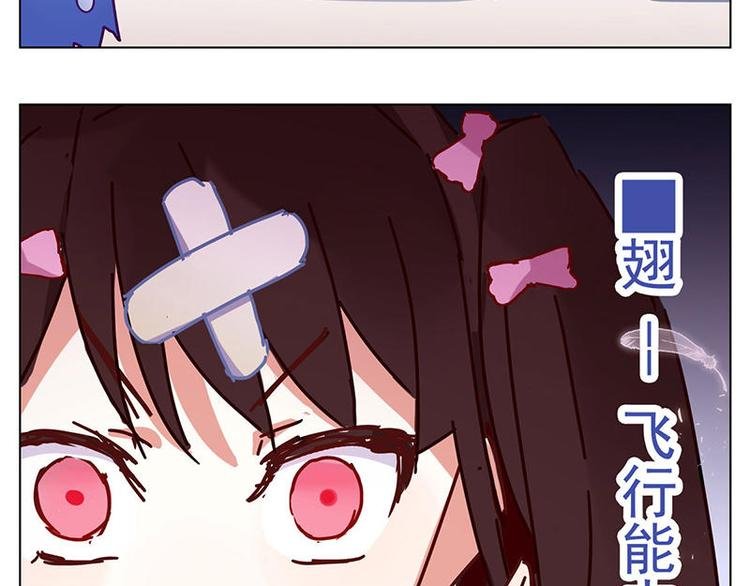 第6花