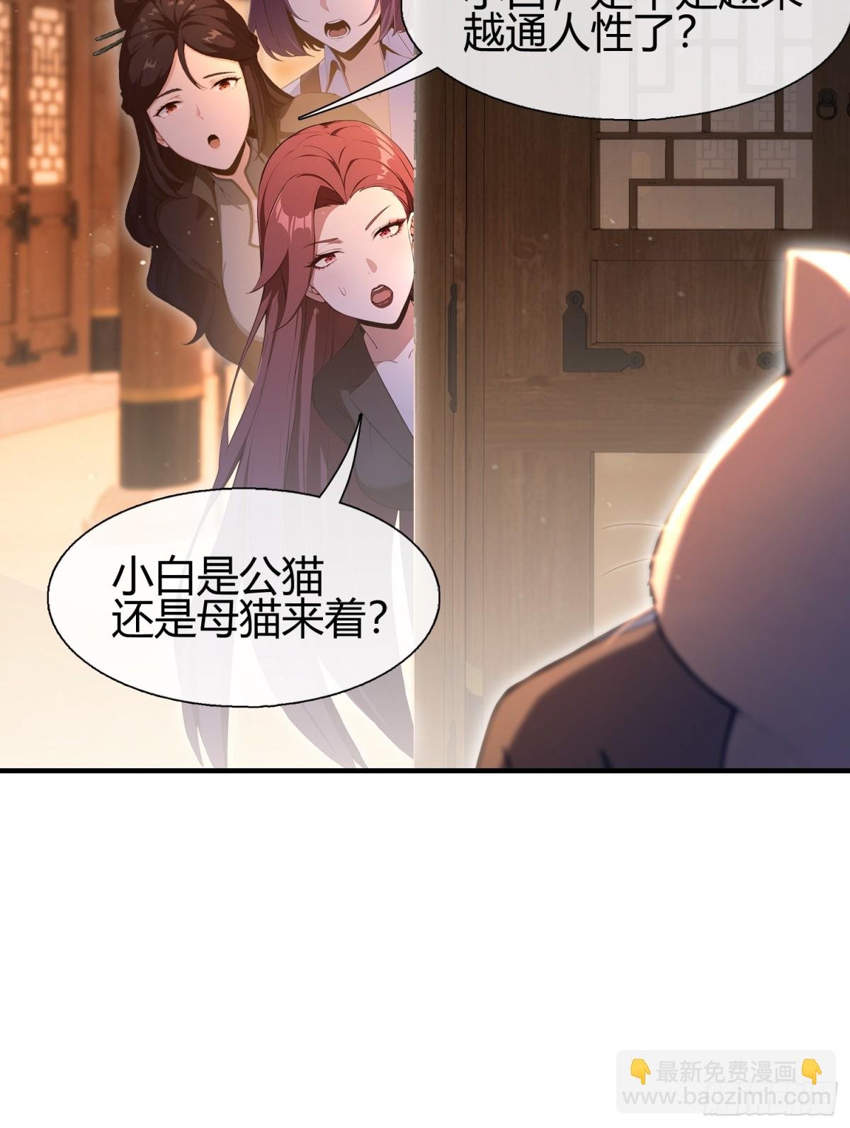 第8话 凤凰饲养员