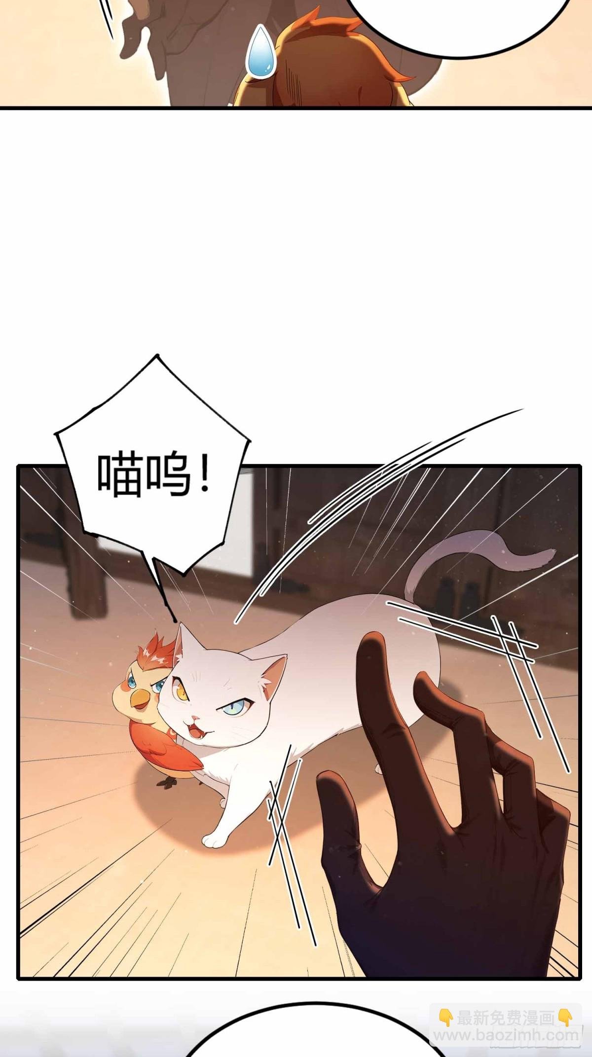 第8话 凤凰饲养员