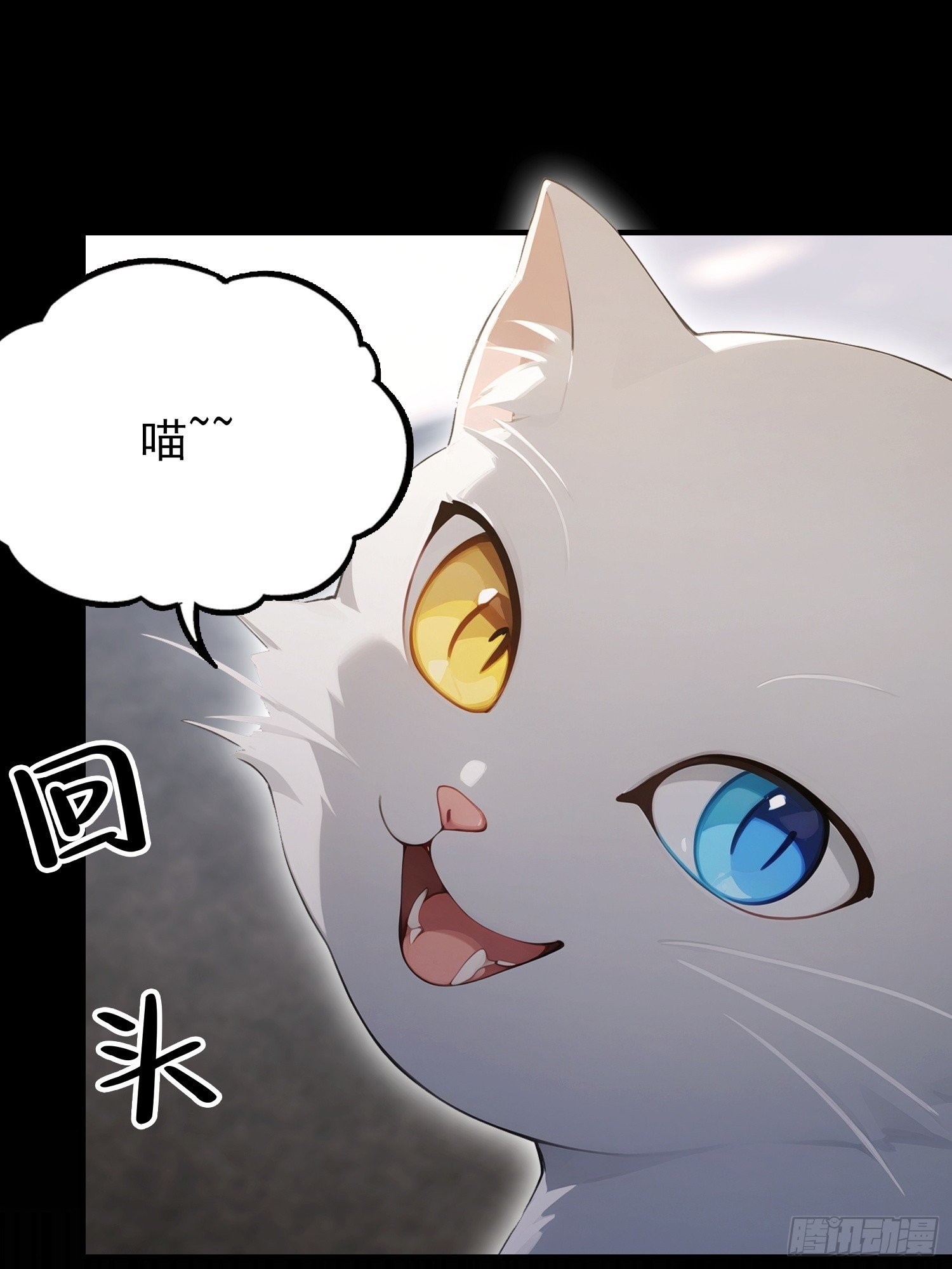 第94话 风水局中局