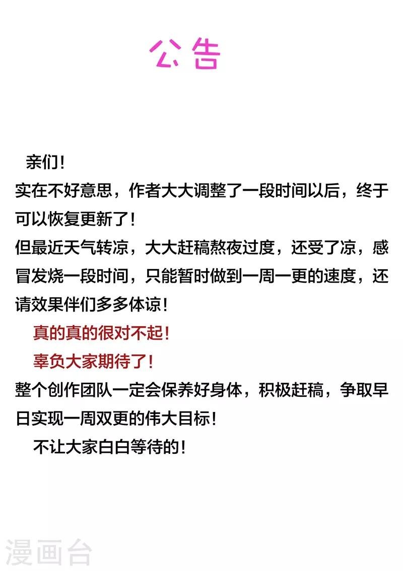 11月27日公告