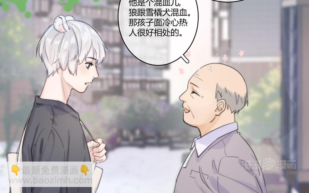 第1话 大灰狼和小仓鼠