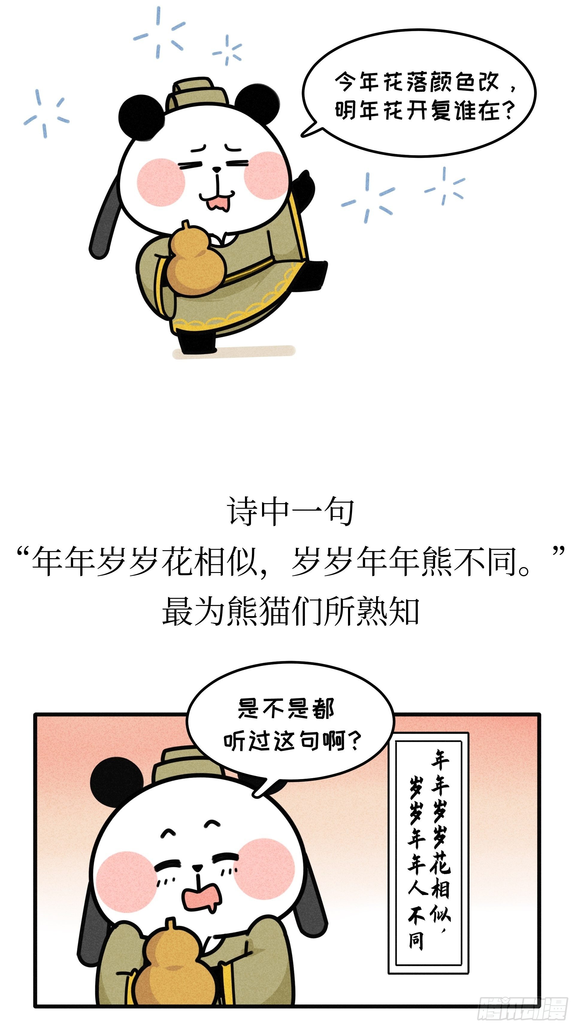 第21话 风月熊猫