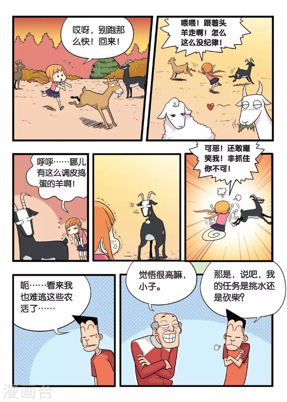 第11话 这叫哪门子特训啊！