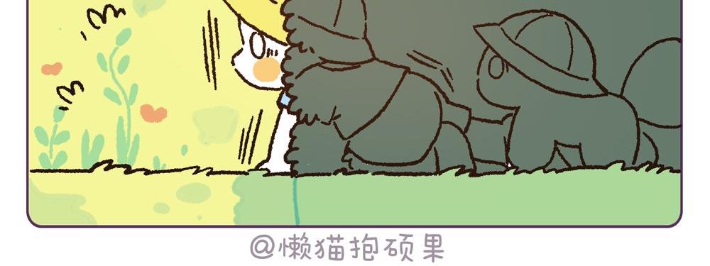 青蛙的歌声