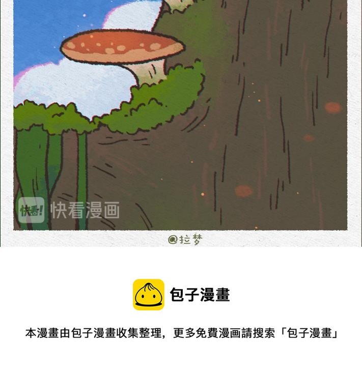 蘑菇林