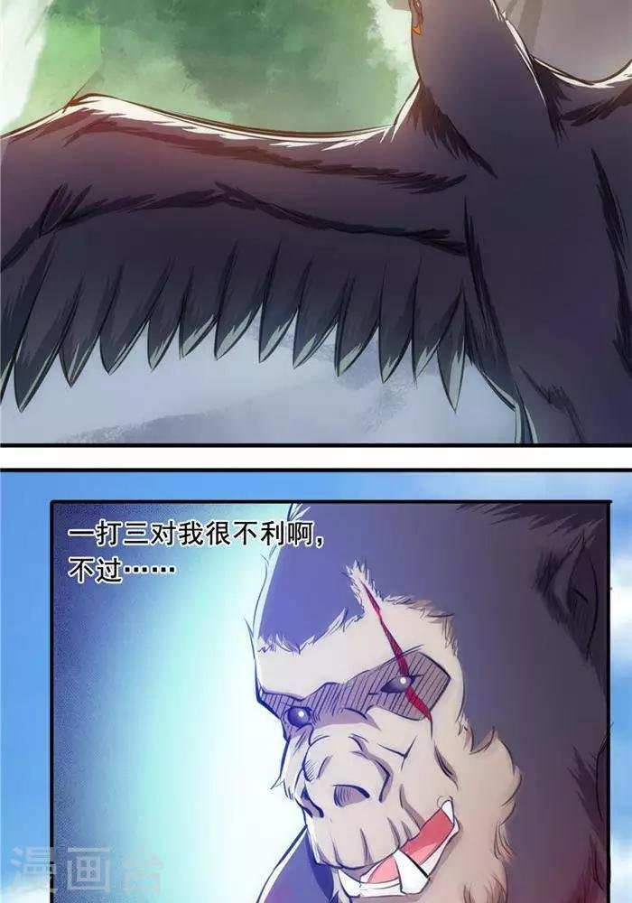 第26话 仙宝战火