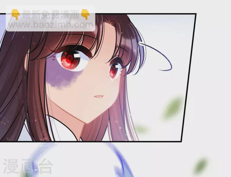 最终话 是走是留？