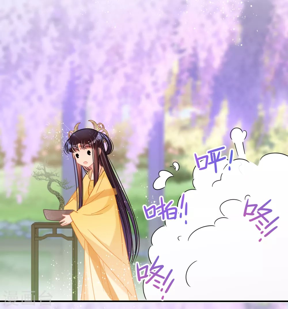 第33话3 一宫不容二傻