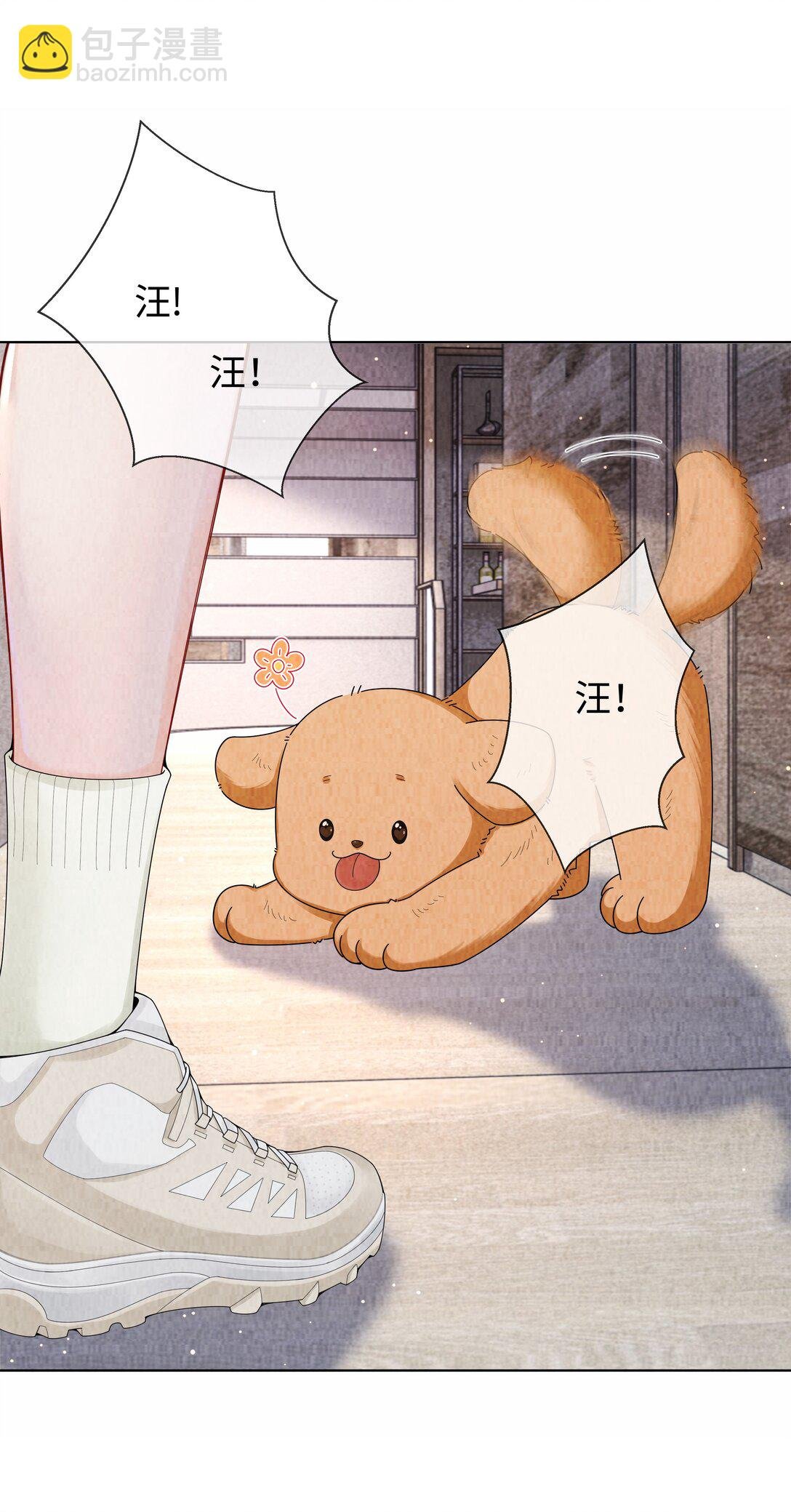 101 我不可以爱上他