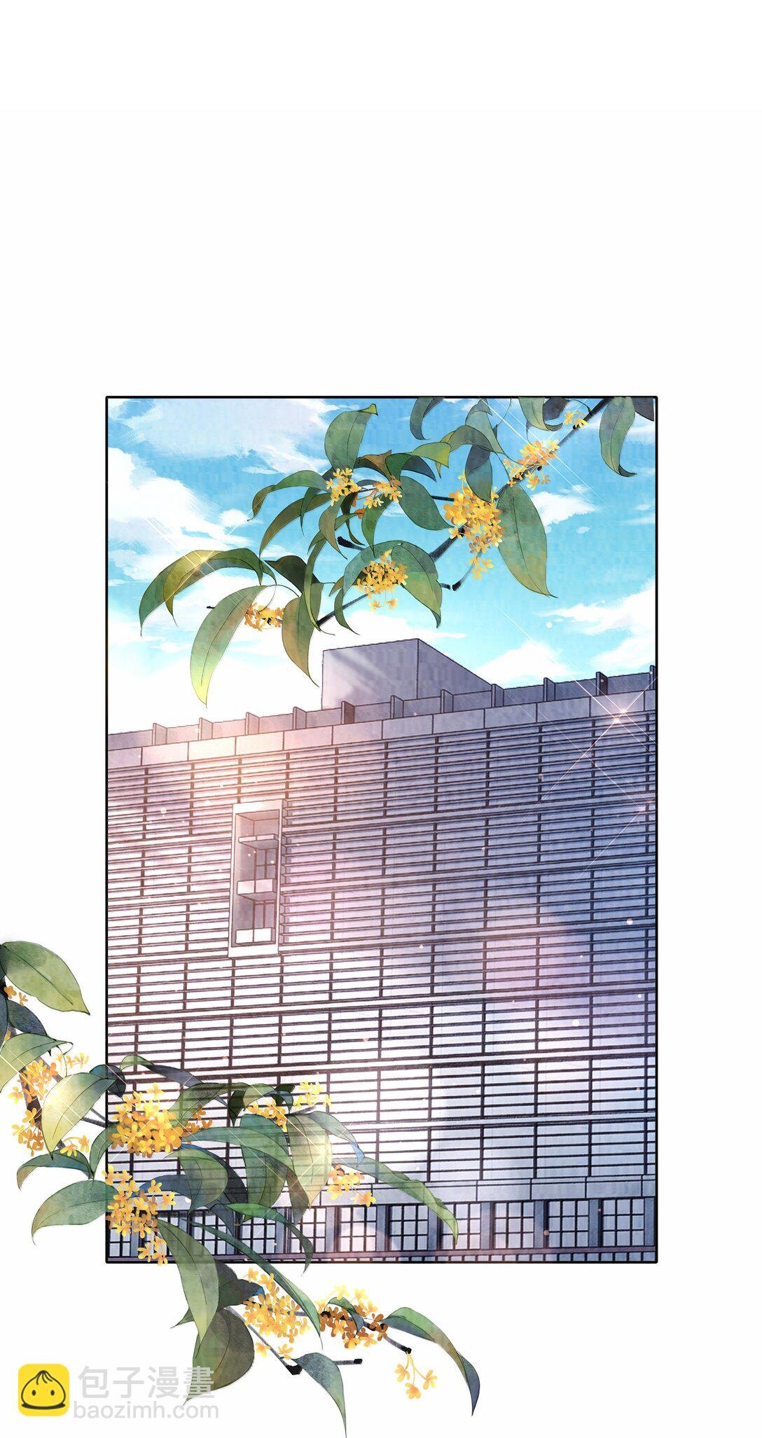 117 实在是太好了
