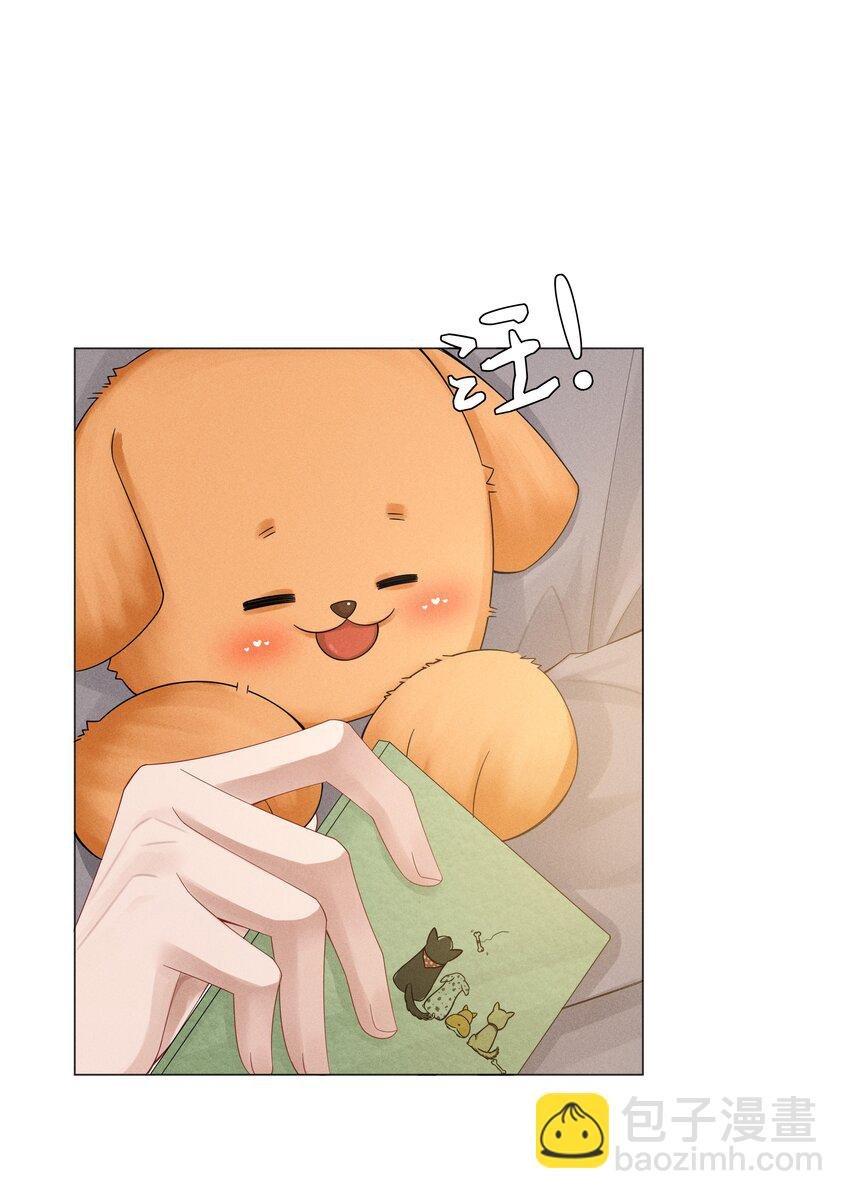 046 我小时候，是哈士奇！