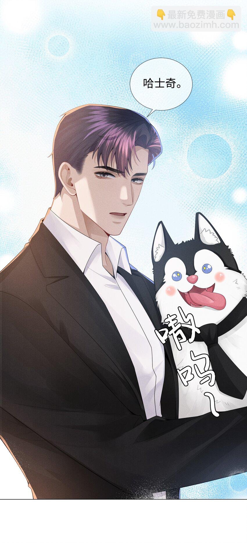 046 我小时候，是哈士奇！