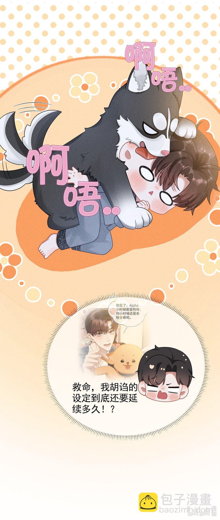 055 该喂哈士奇！