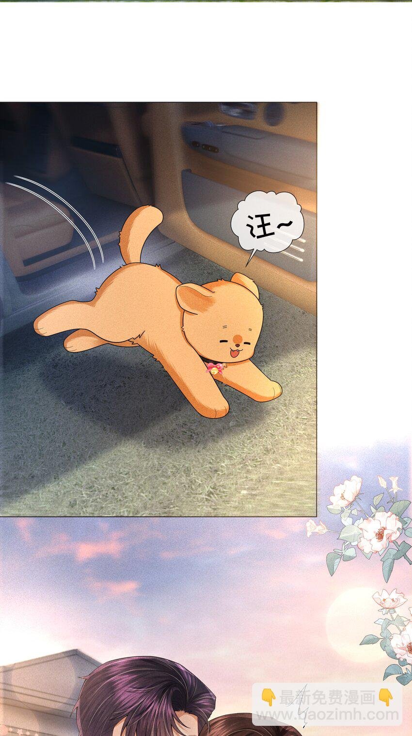 065 可爱的小东西~