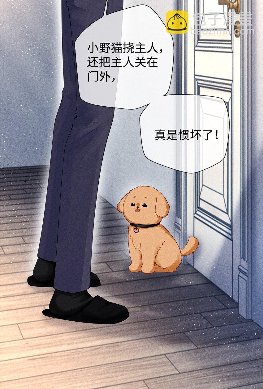 071 干脆毁掉他！