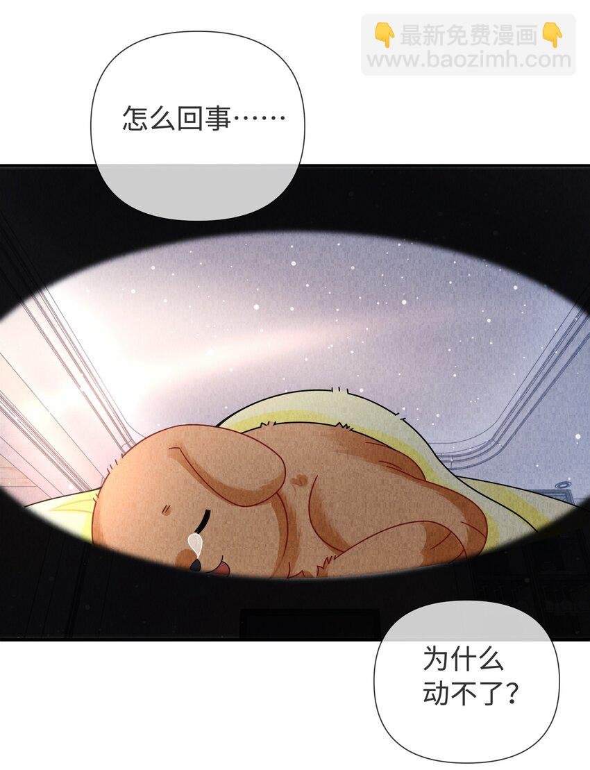 091 你是……哈士奇？