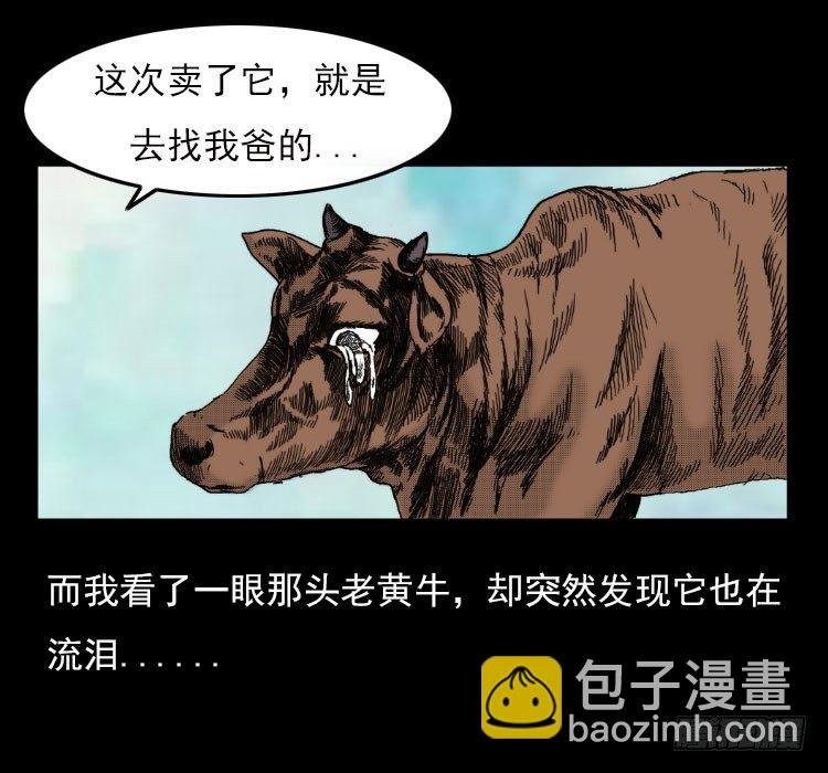 3老黄牛