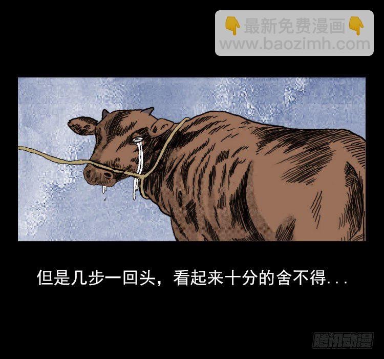 3老黄牛
