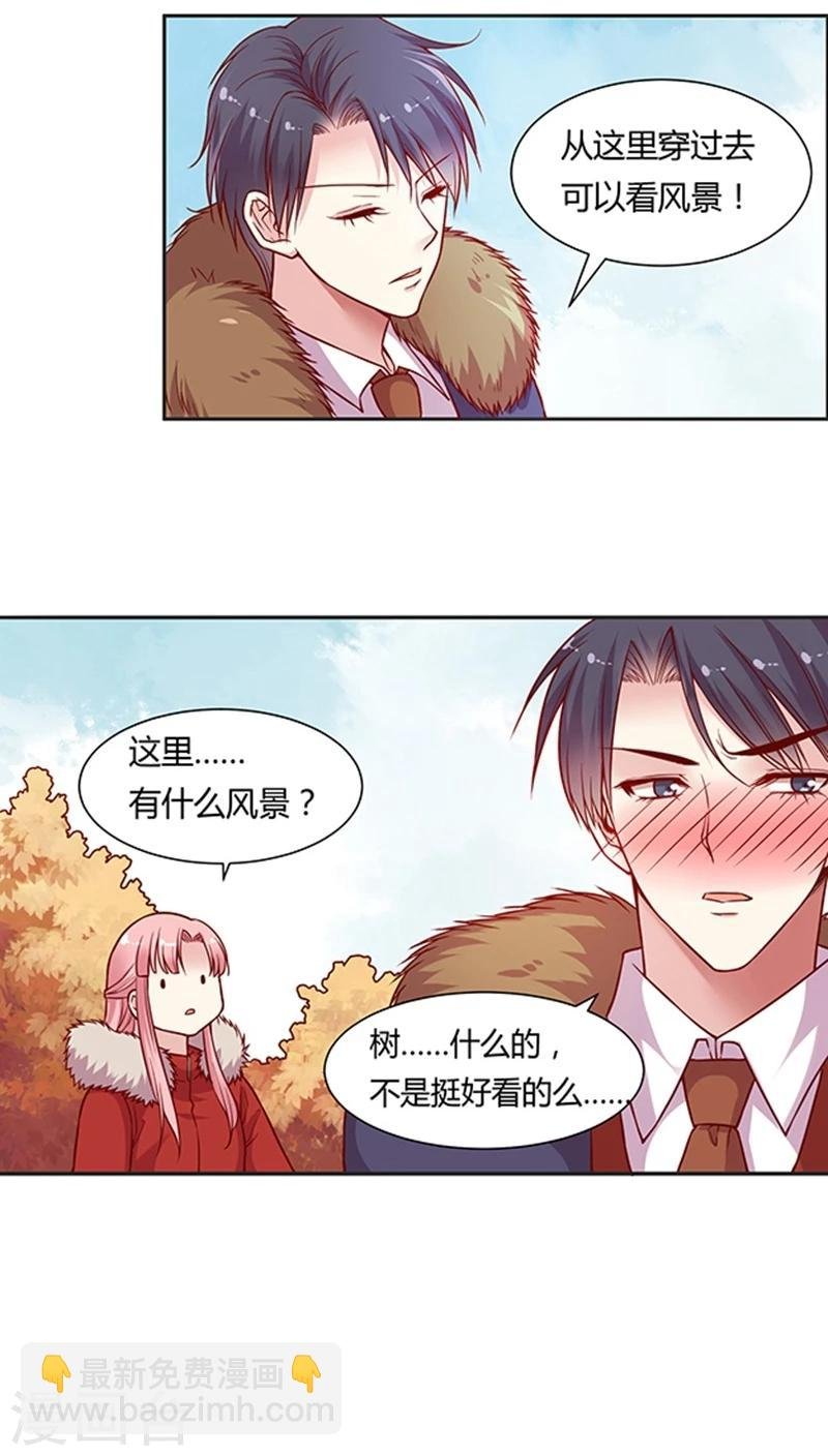 第67话 桥&温泉