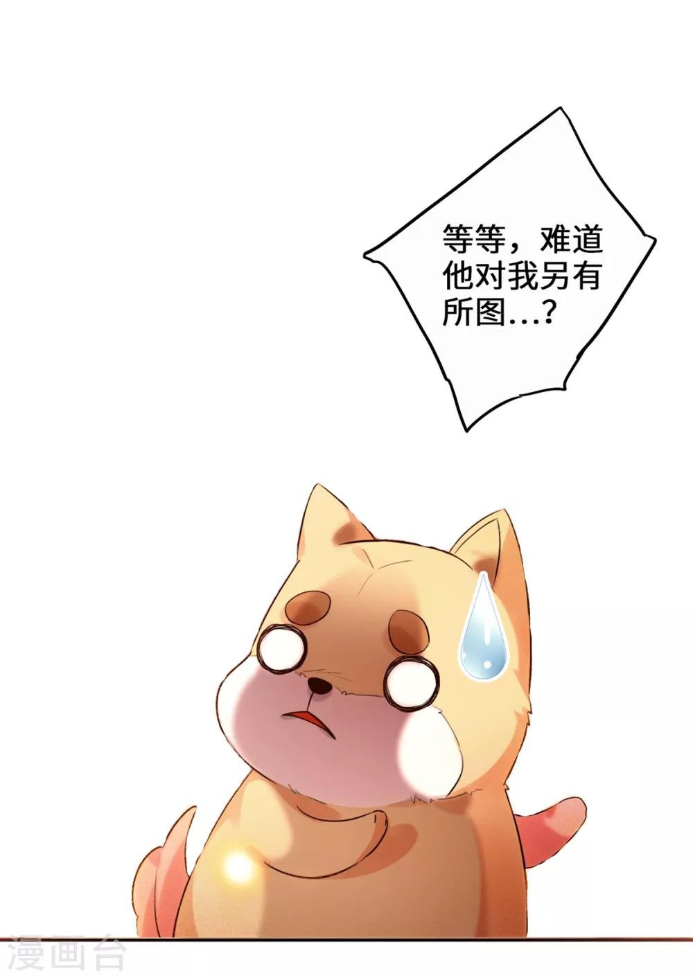 预告