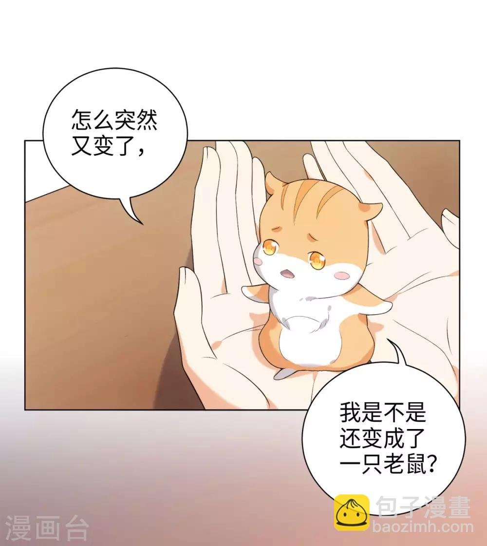 第34话 我怎么成了老鼠QAQ
