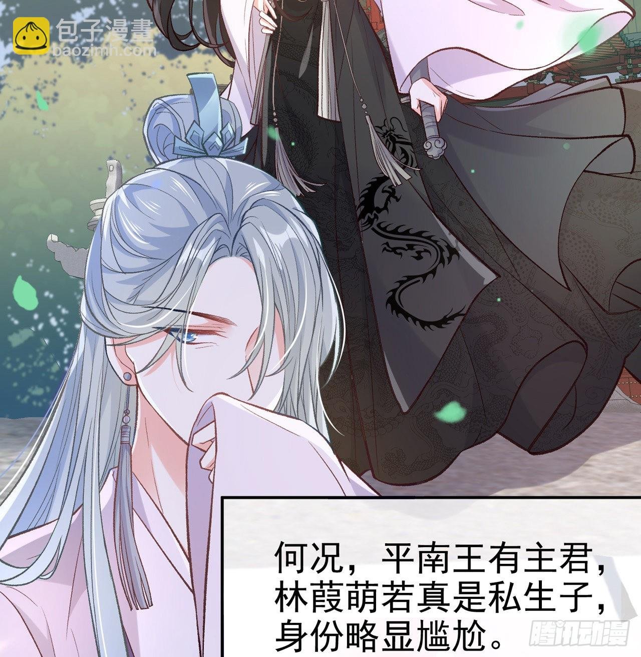 平南王的私生子？