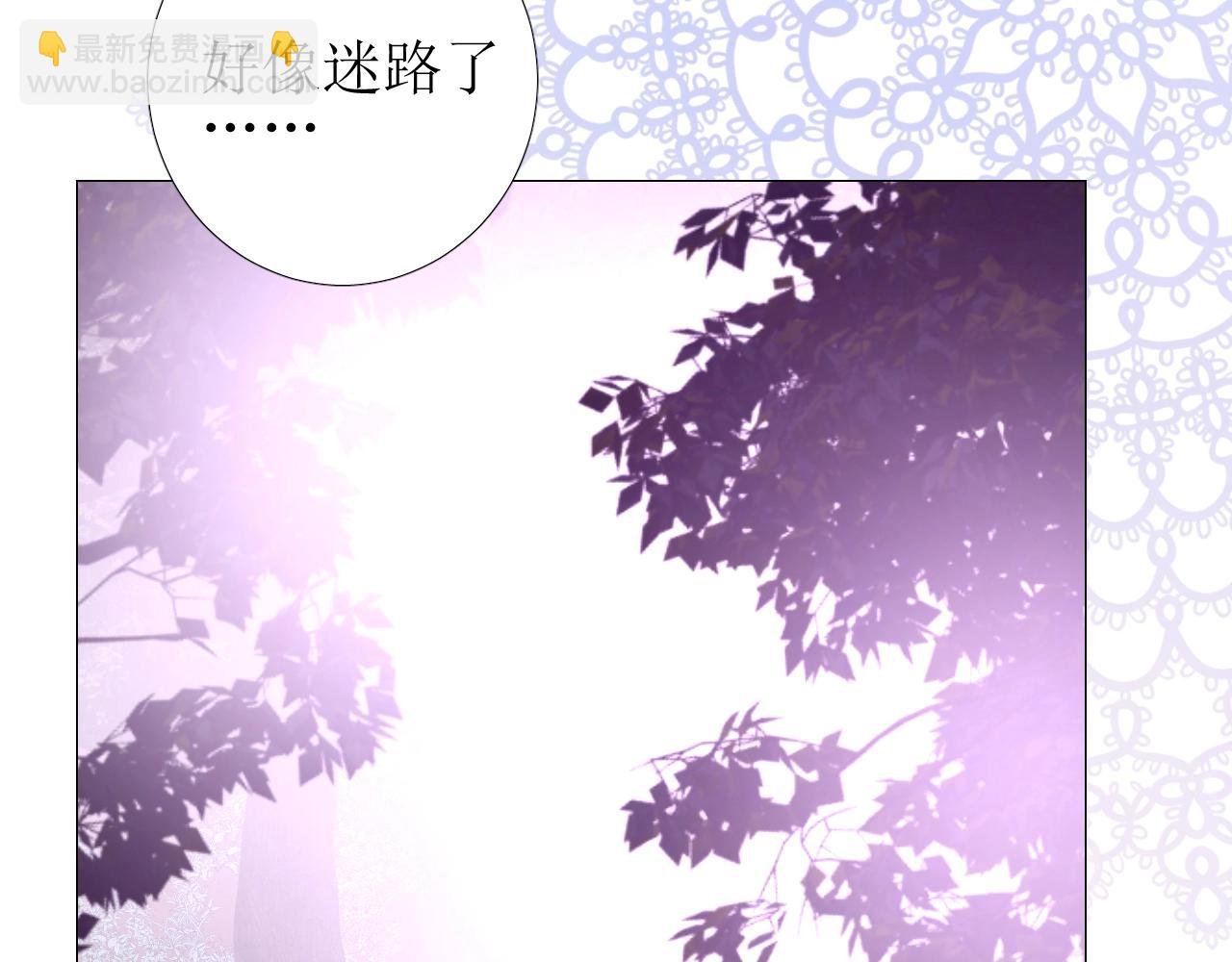 第38话 迷雾森林