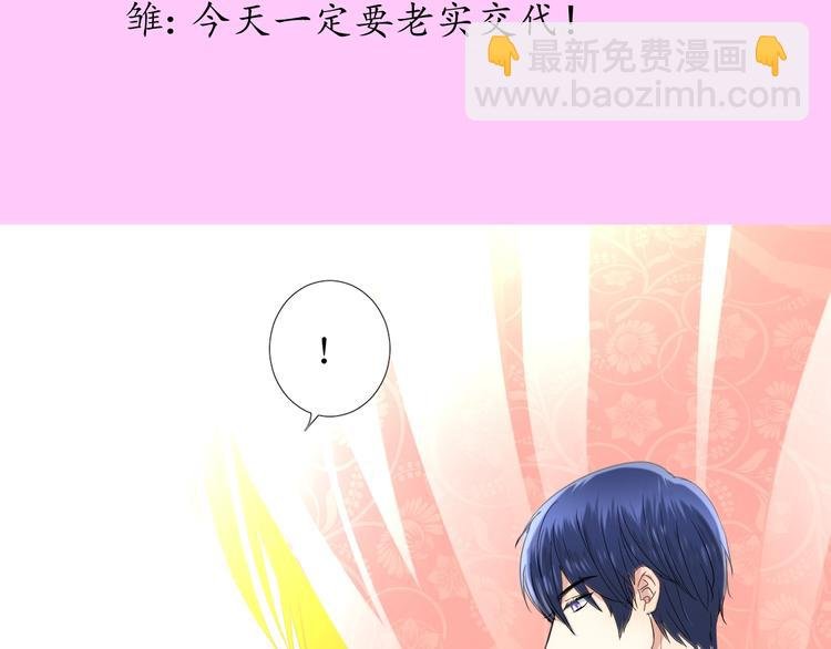 情人节特典