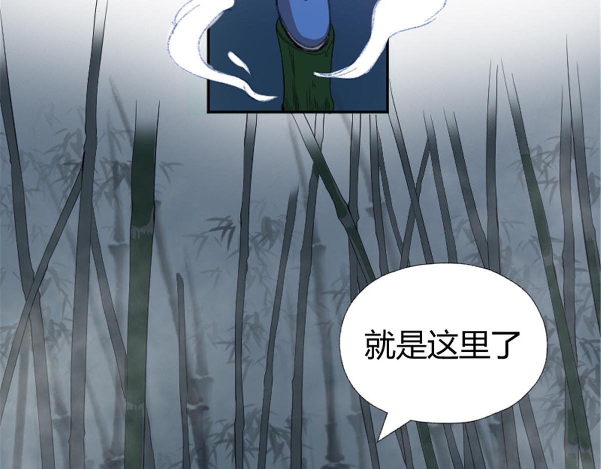 022 荷塘之秘
