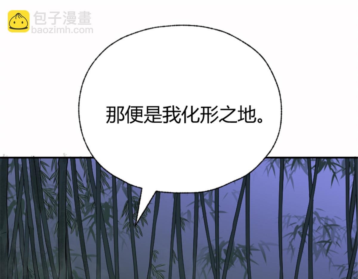 022 荷塘之秘